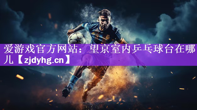 望京室内乒乓球台在哪儿